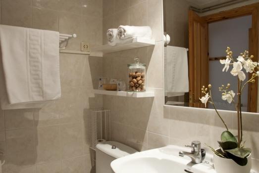 Hotel Maximina Sallent De Gallego Room photo